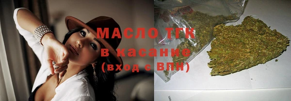 гидра Вязьма