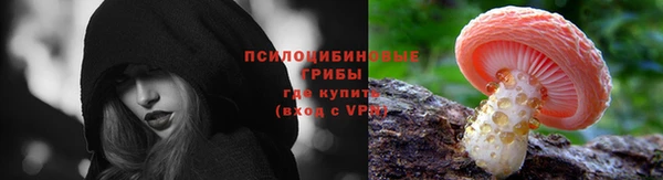 прущие крисы Волосово