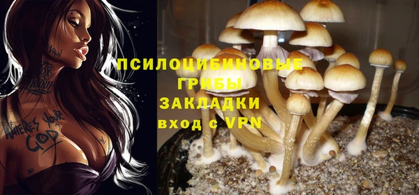 a pvp Володарск