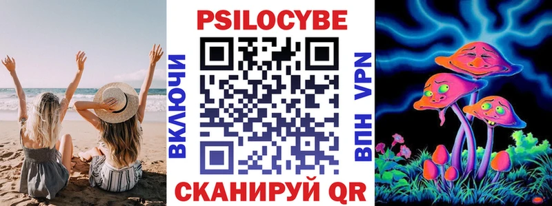 цена наркотик  Гусиноозёрск  Псилоцибиновые грибы мицелий 